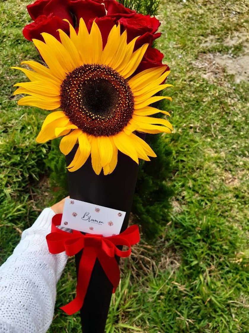 Fashion Arreglo de rosas rojas y un girasol 🌹🌻