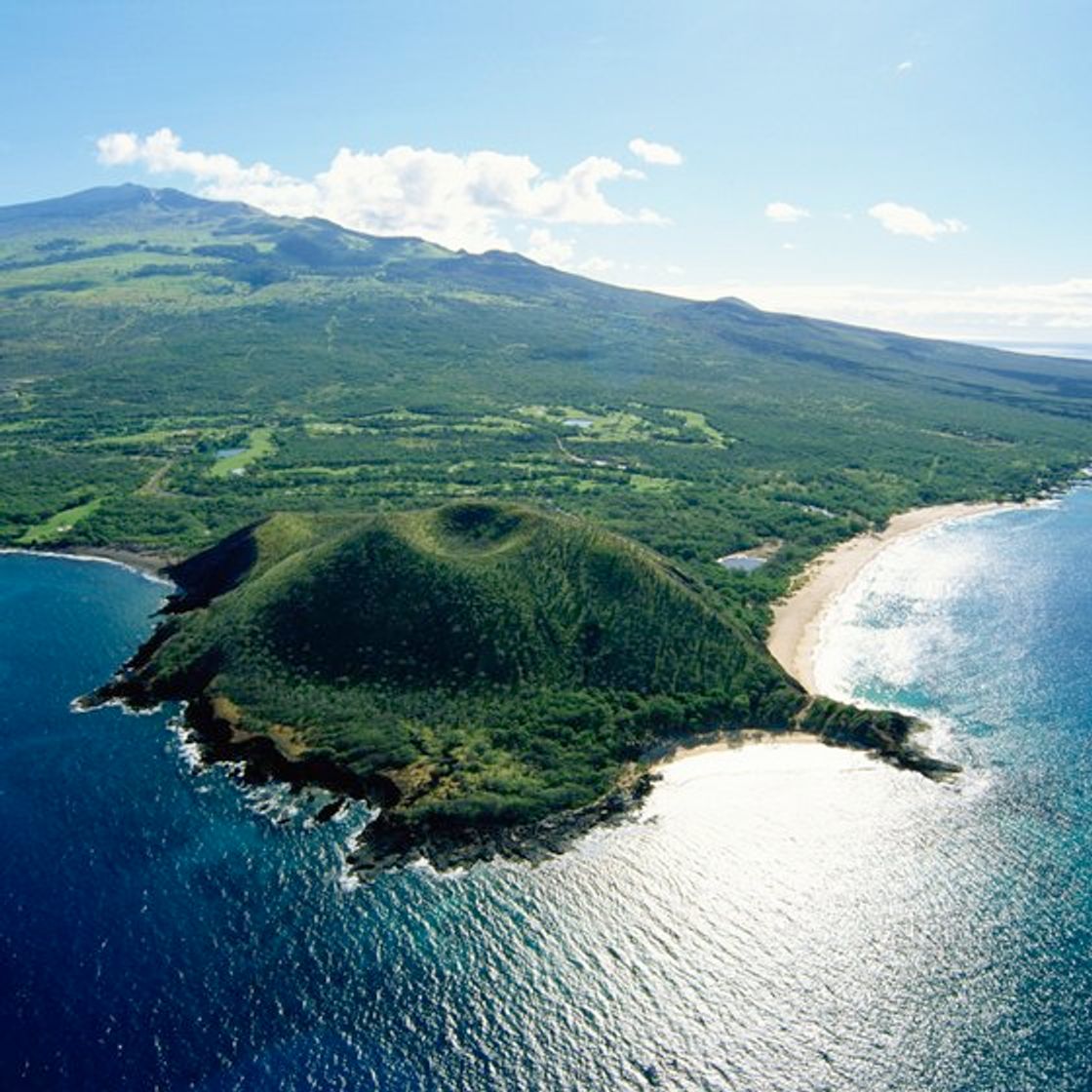 Place Hawaiian Islands