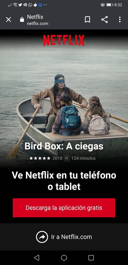 Movie Bird Box