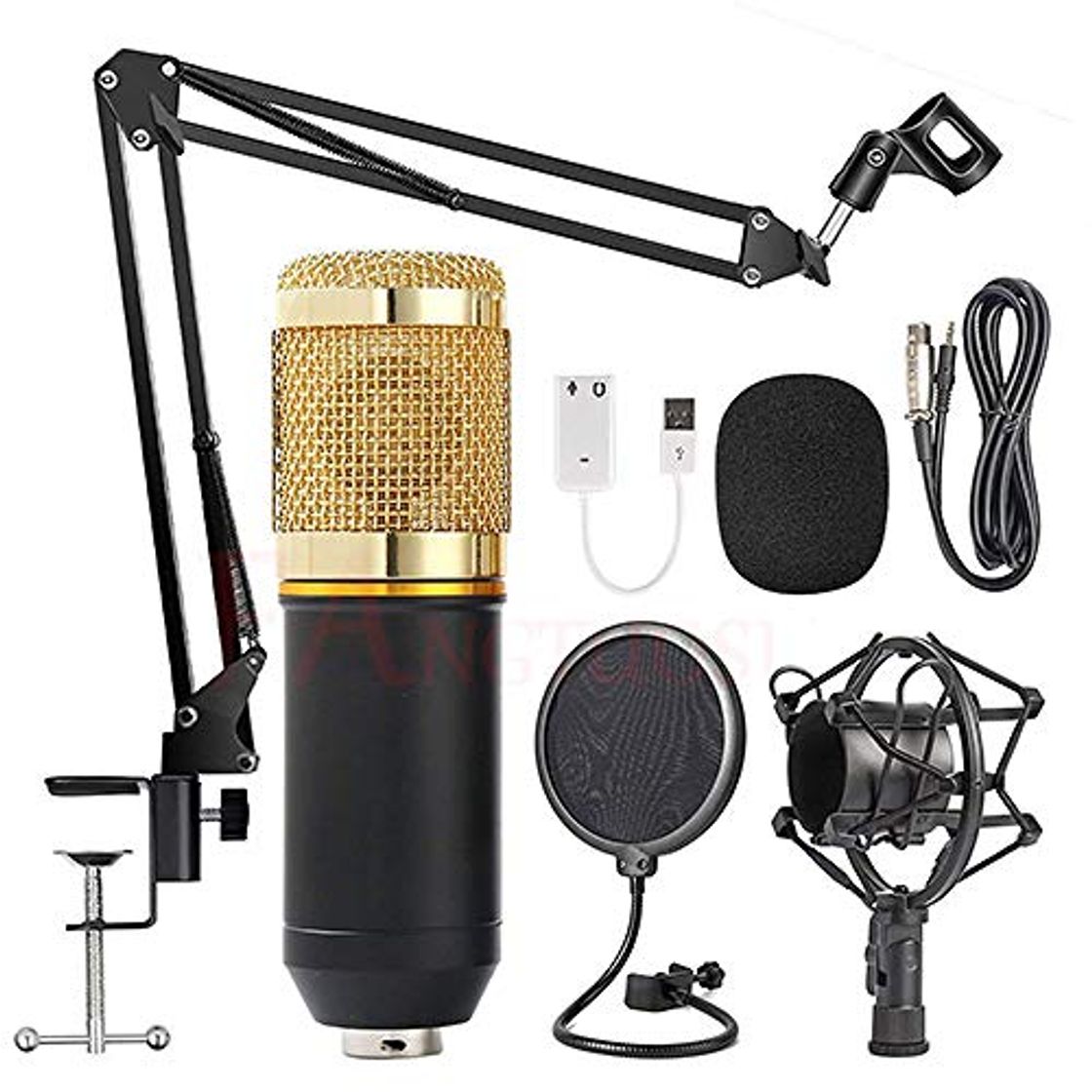 Social JVCAN Professional BM 800 Studio Microphone