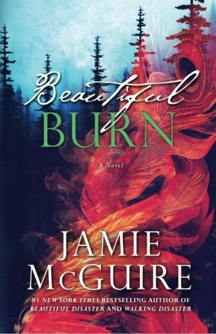 Book Beautiful Burn: A Novel