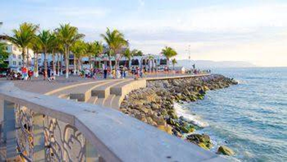 Lugar Malecón Puerto Vallarta