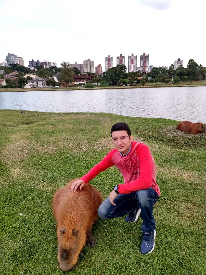 Place BARIGUI PARQUE