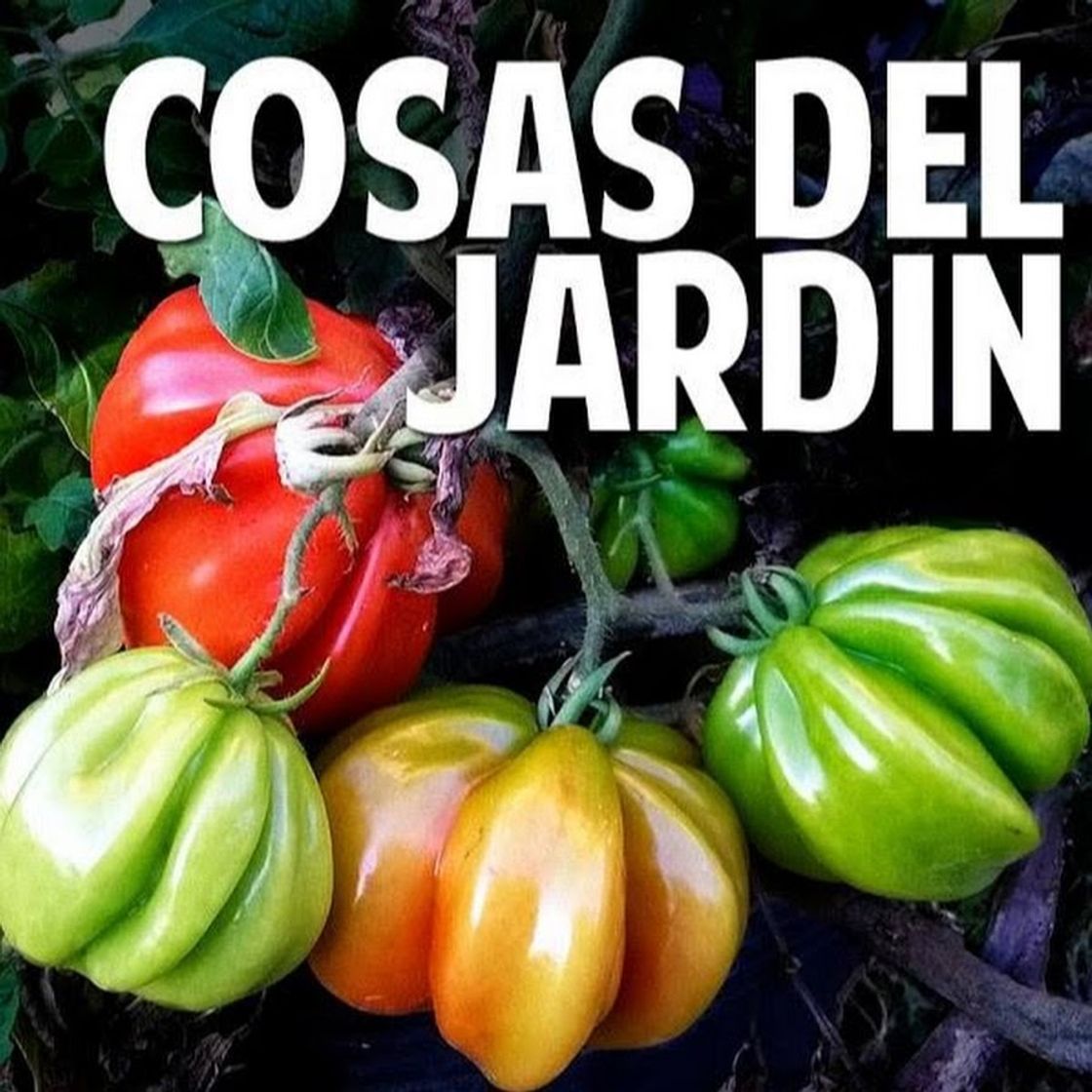 Moda Cosas del Jardin - YouTube