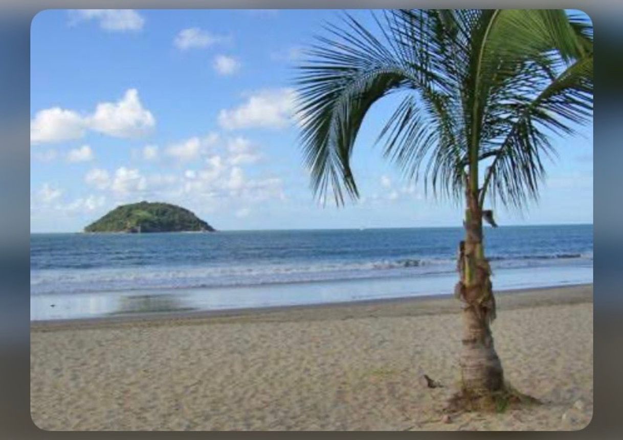 Place Guayabitos