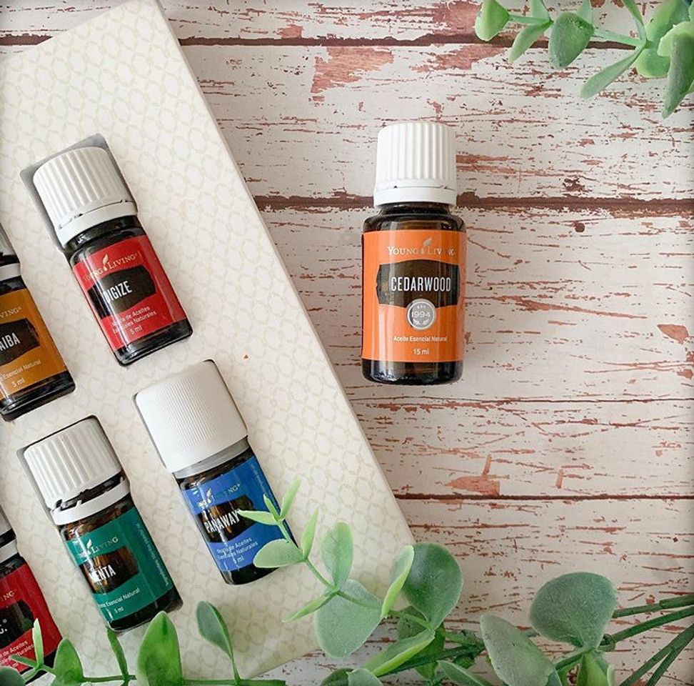 Social Aceites esenciales Young Living 