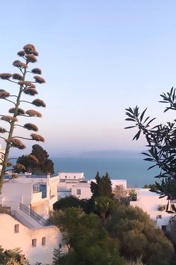 Lugar Sidi Bou Said