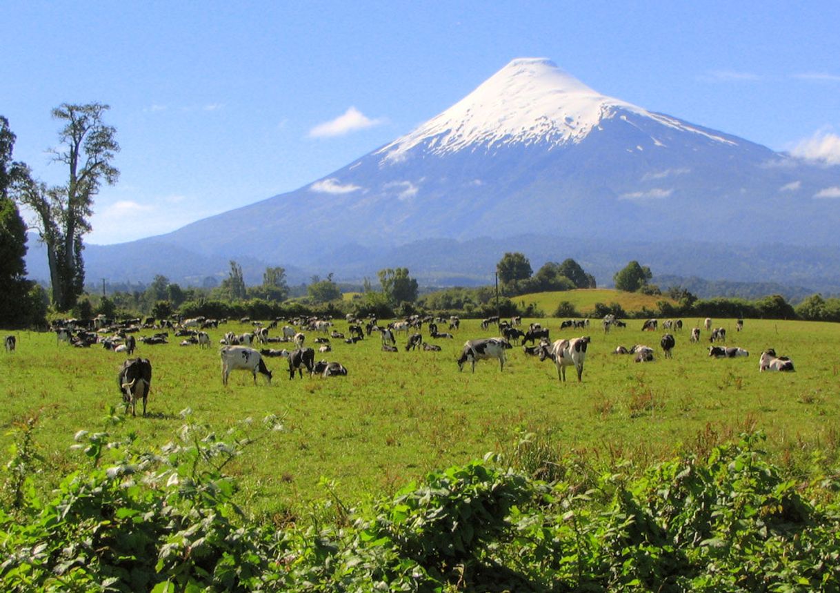 Lugar Sur de Chile