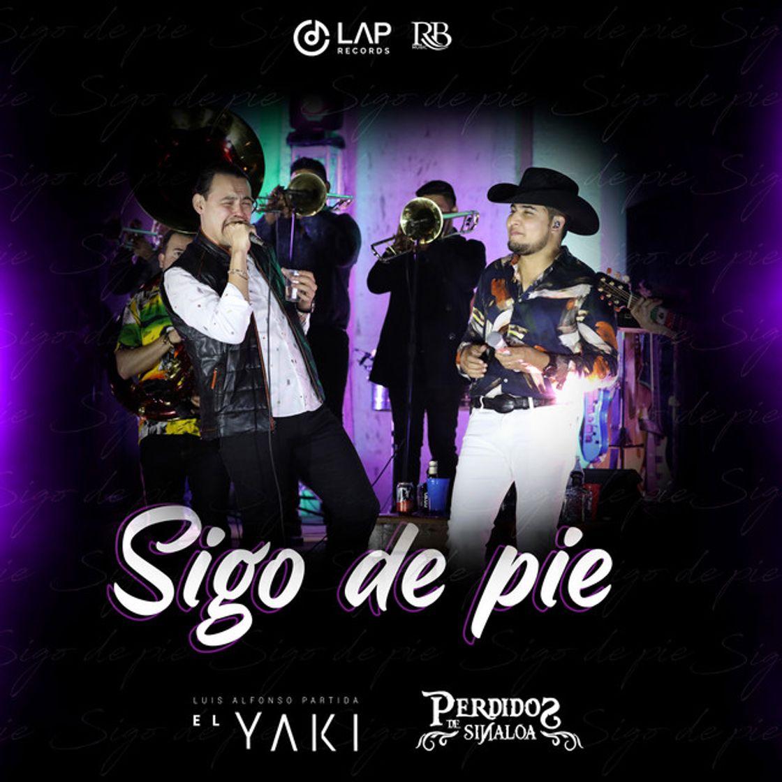 Canciones Sigo de Pie - En Vivo