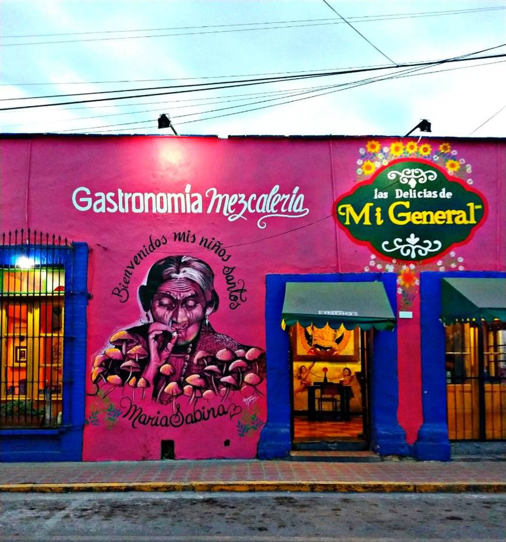 Las Delicias de Mi General