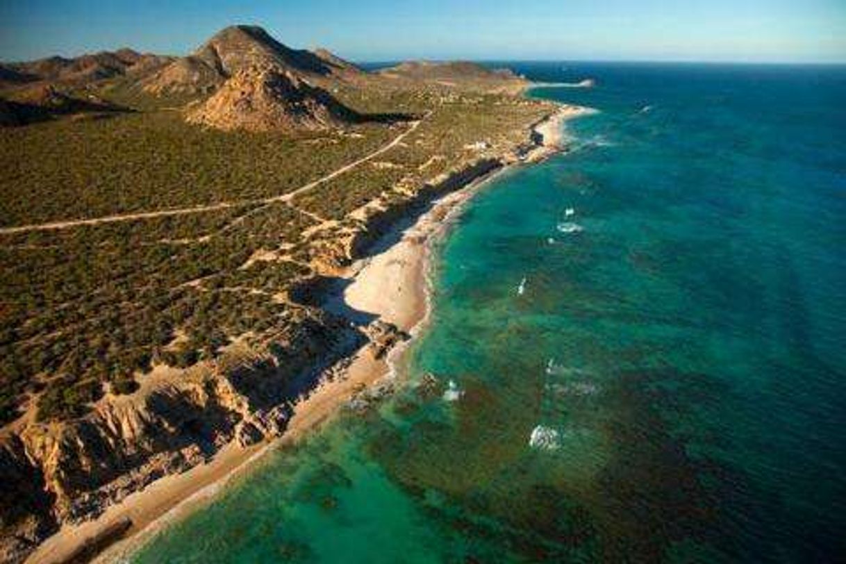 Place Cabo Pulmo