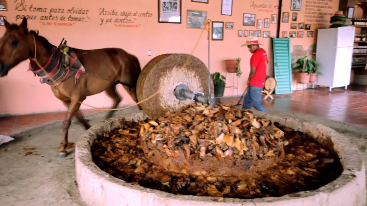 Place Fábrica de Mezcal Artesanal El Rey de Matatlán