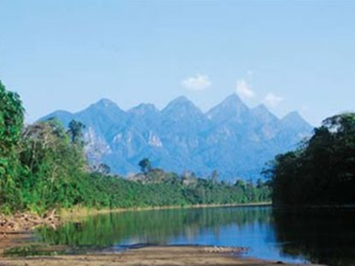 Lugar Parque nacional Cordillera Azul