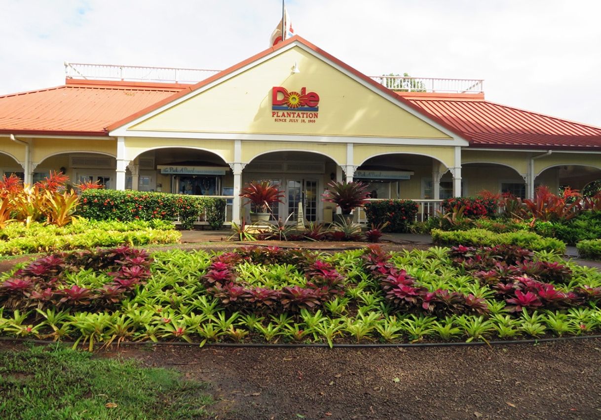 Place Dole Plantation