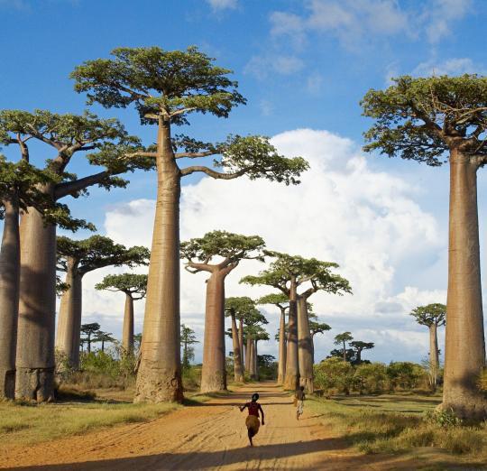 Lugar Madagascar