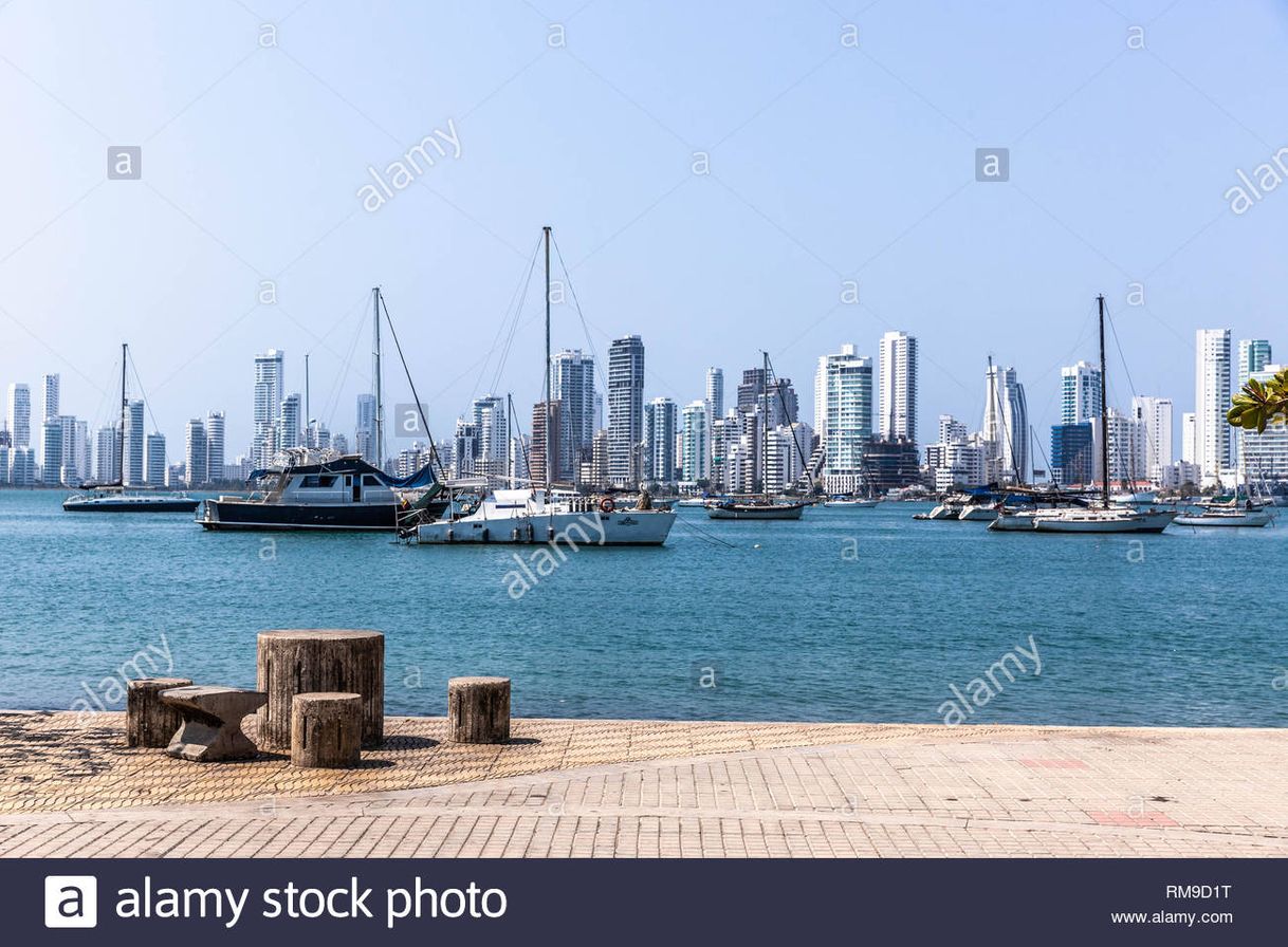 Place Bahía de Manga