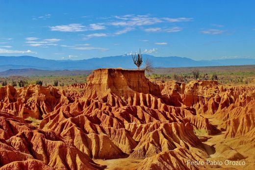 Desierto de la Tatacoa