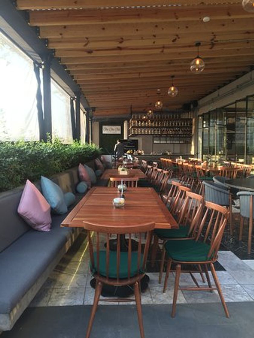 Restaurantes Terraza Cha Cha Chá