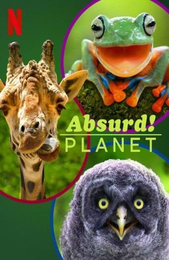 Absurd Planet