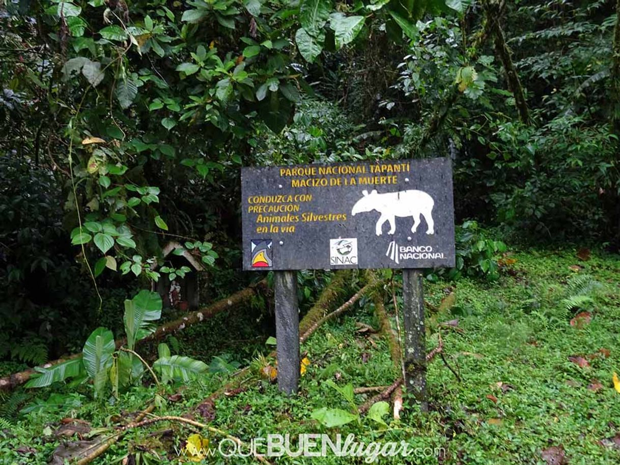 Lugar Parque Nacional Tapantí