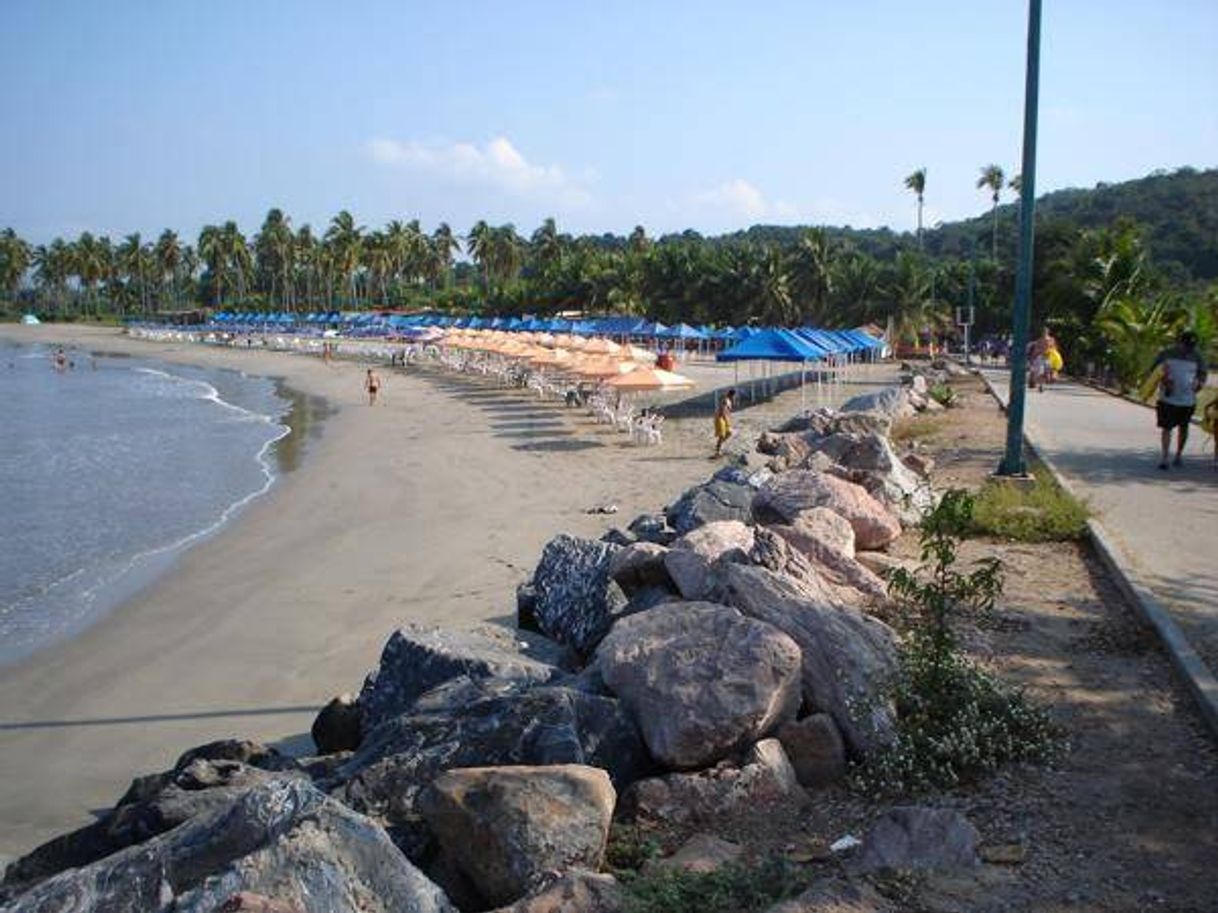 Place Ixtapa-Zihuatanejo