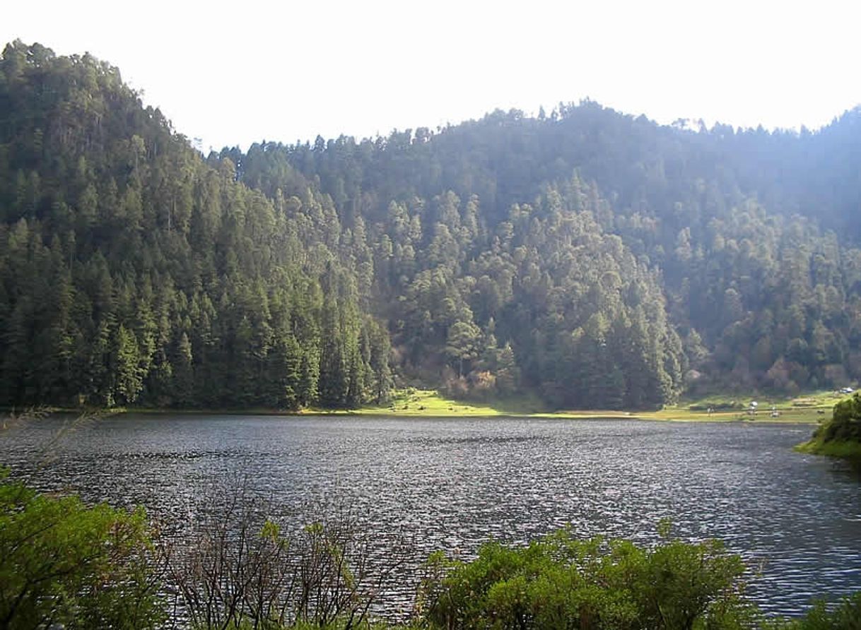 Place Lagunas de Zempoala