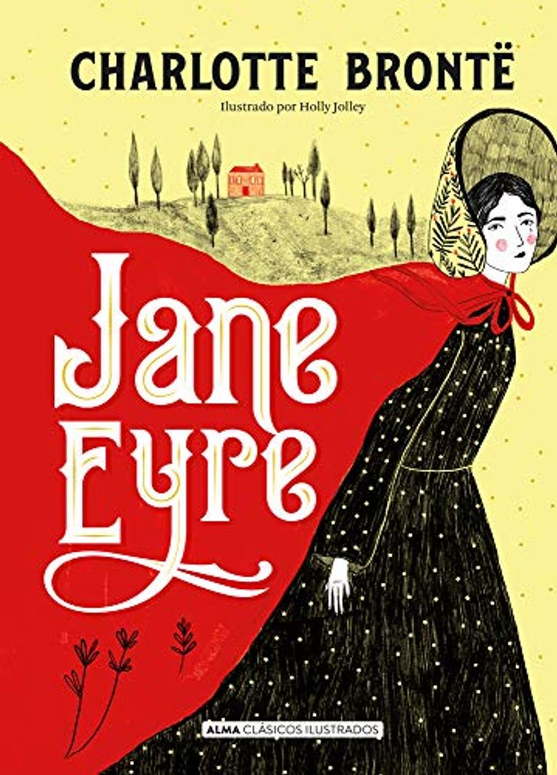 Book Jane Eyre: 29