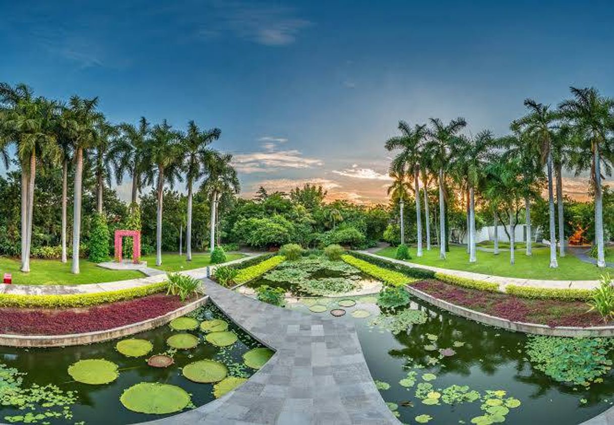 Lugar Jardin botánico