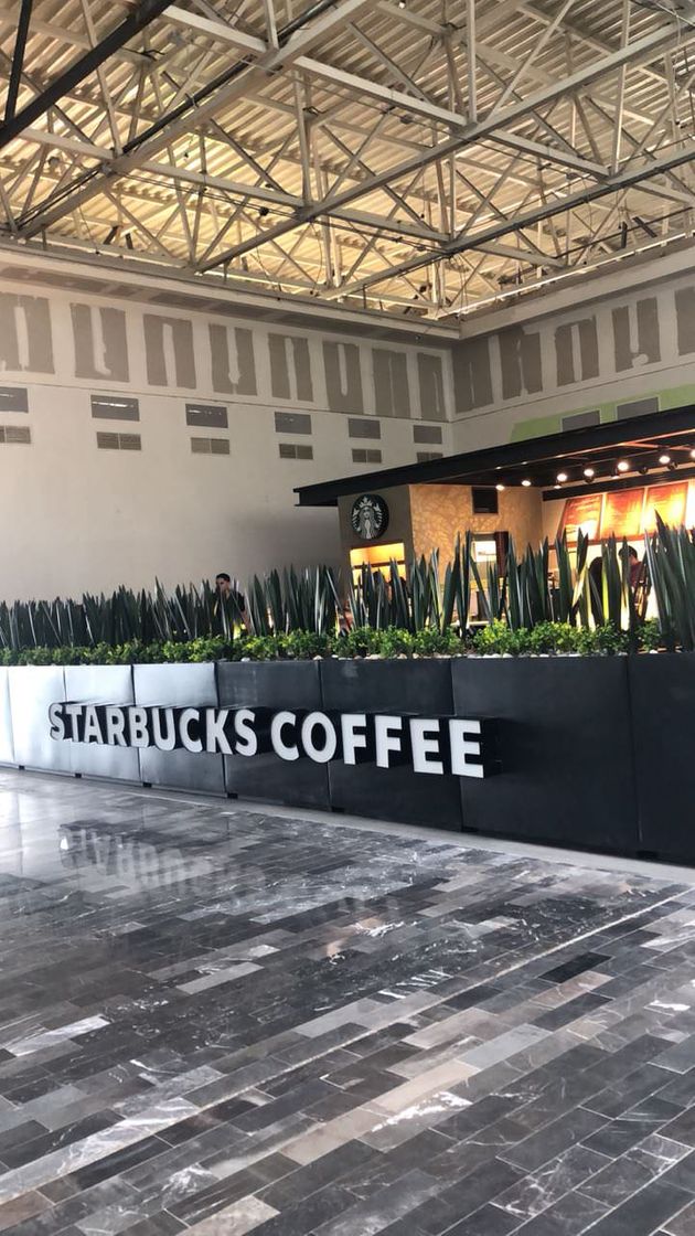 Restaurantes Starbucks Aeropuerto Los Mochis