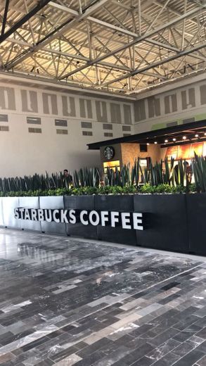 Starbucks Aeropuerto Los Mochis