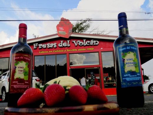 Fresas del Volcán