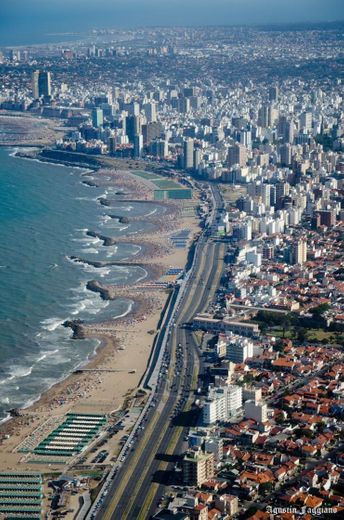 Mar del Plata