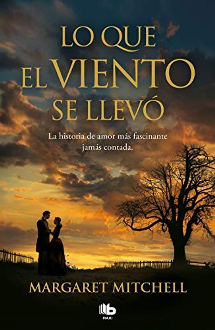 Book Lo que el viento se llevó