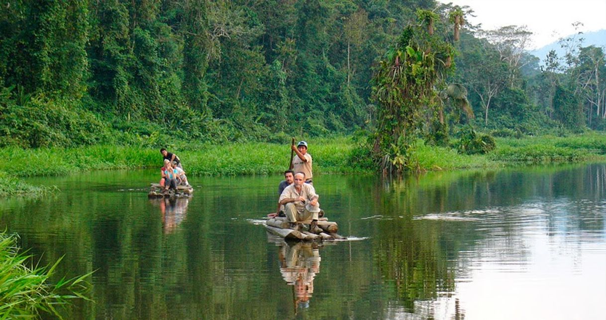 Lugar Parque Nacional del Manu