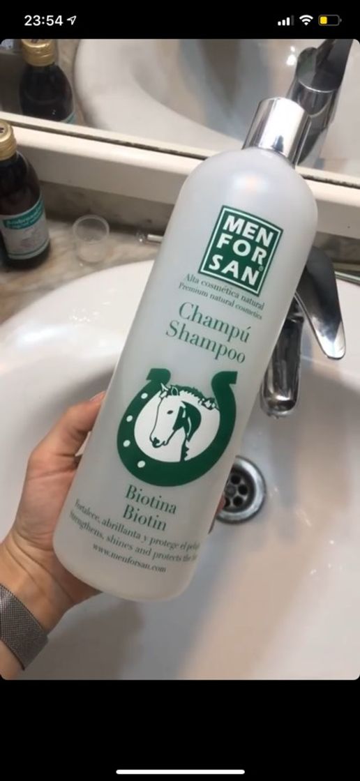 Champu de caballo 