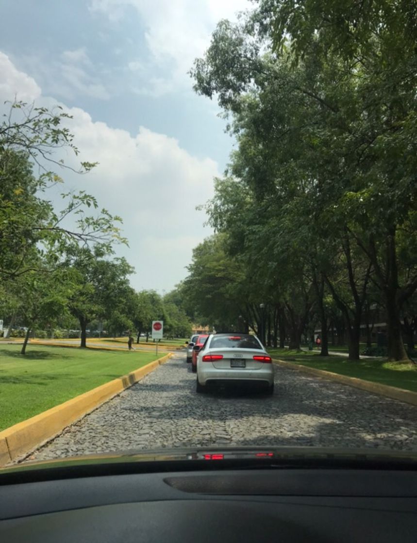 Place ITESO Instituto Tecnológico y de Estudios Superiores de Occidente