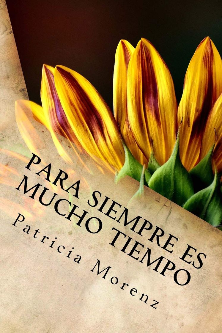 Libro Para siempre es mucho tiempo
