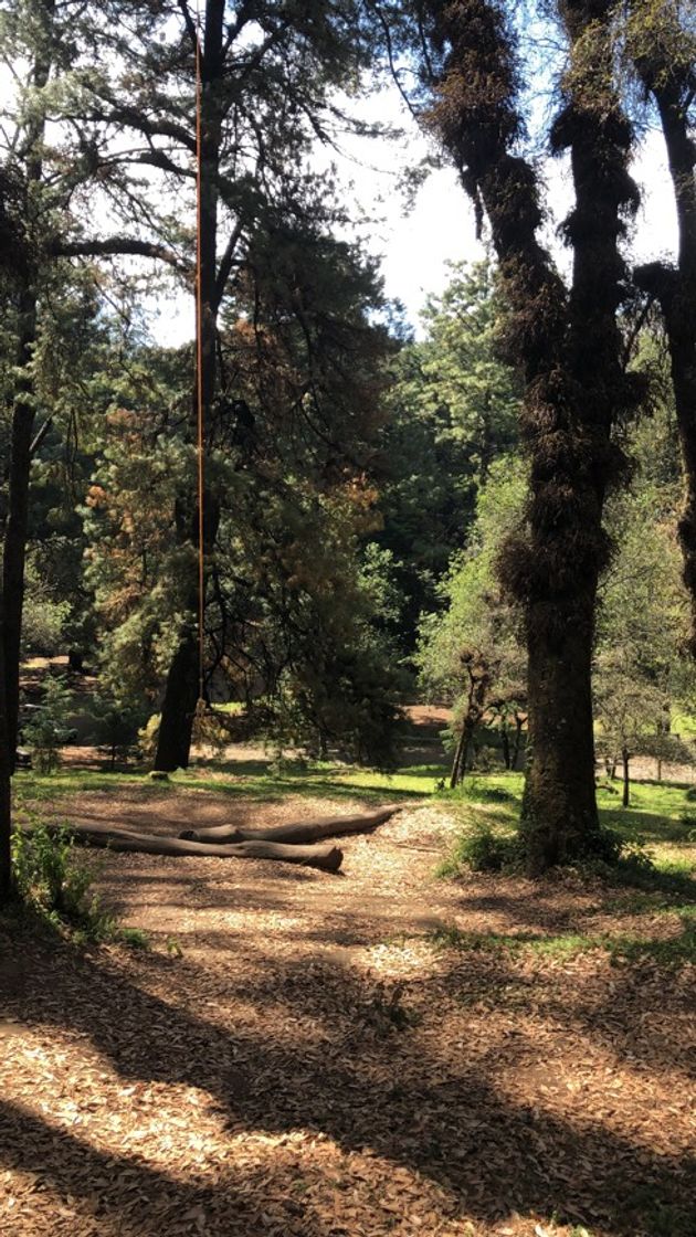Parque Los Columpios