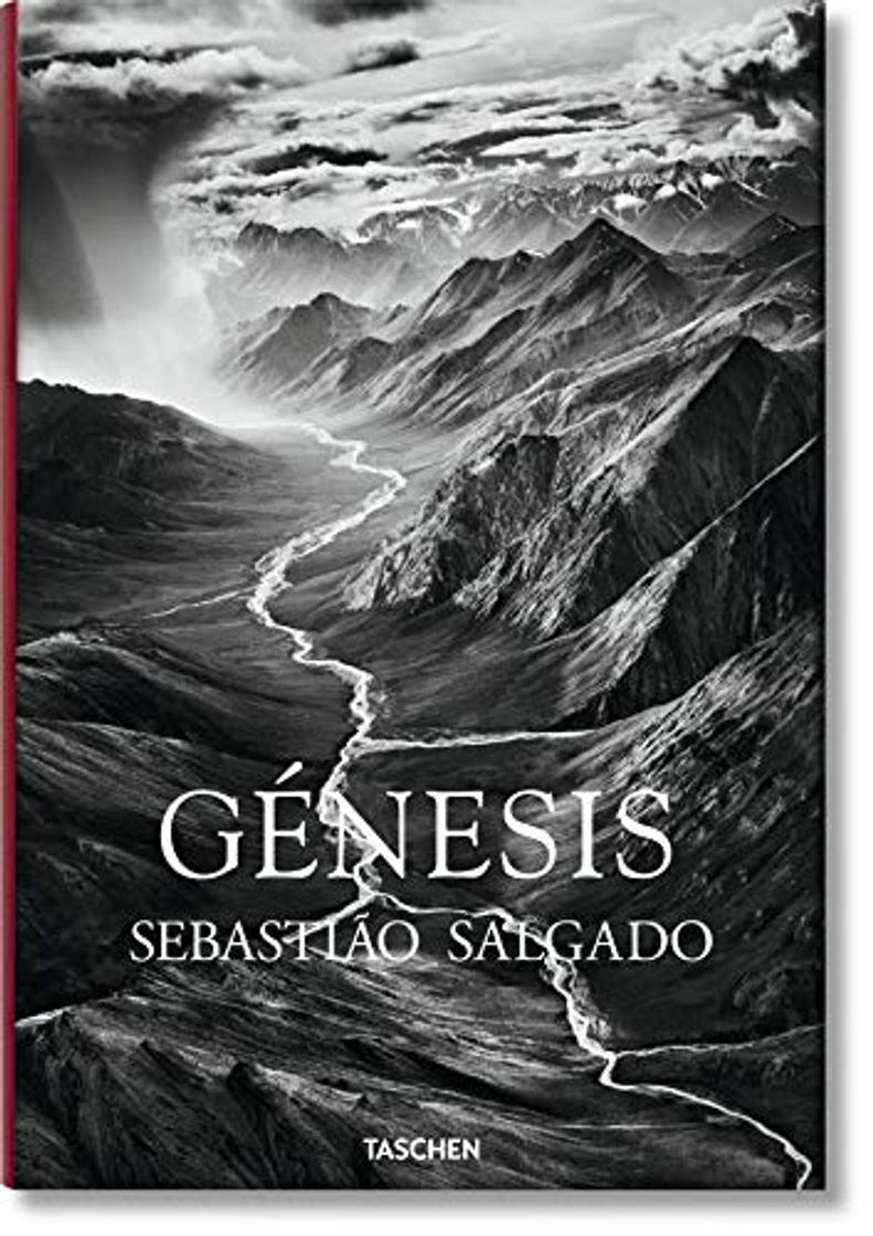 Book Génesis