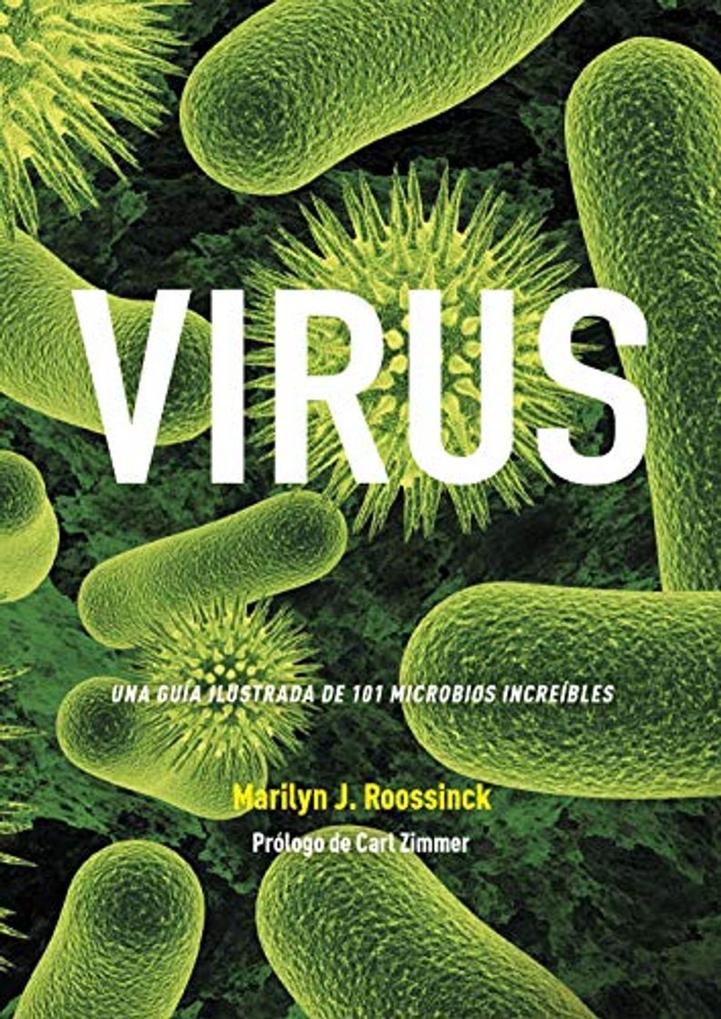 Libro Virus. Una Guía Ilustrada De 101 Microbios Increíbles: 35