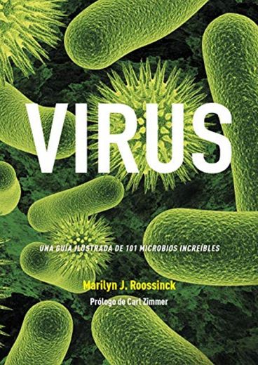 Virus. Una Guía Ilustrada De 101 Microbios Increíbles: 35