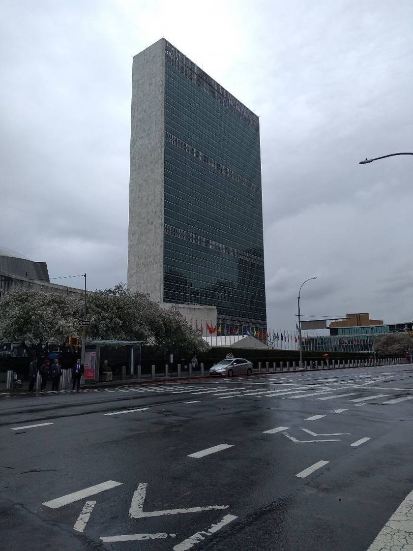 Place Organización de las Naciones Unidas