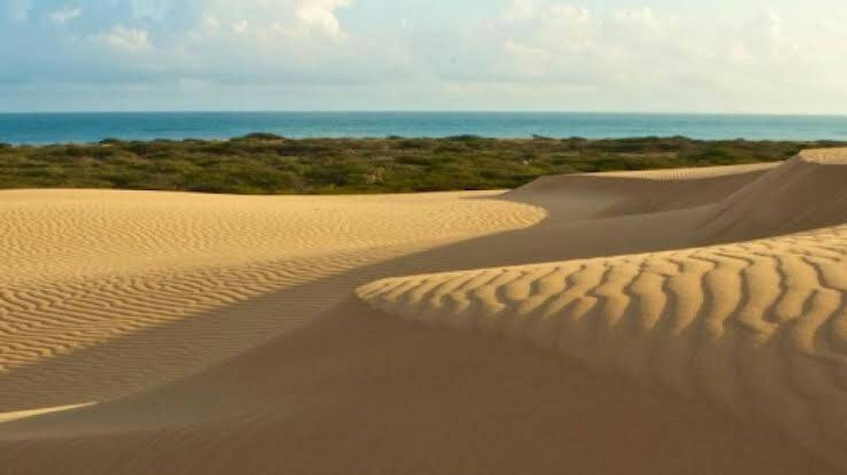 Lugar Parque Nacional Médanos De Coro