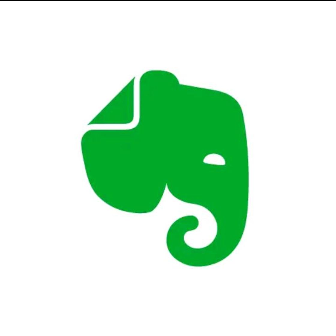 Moda Evernote - organizar notas