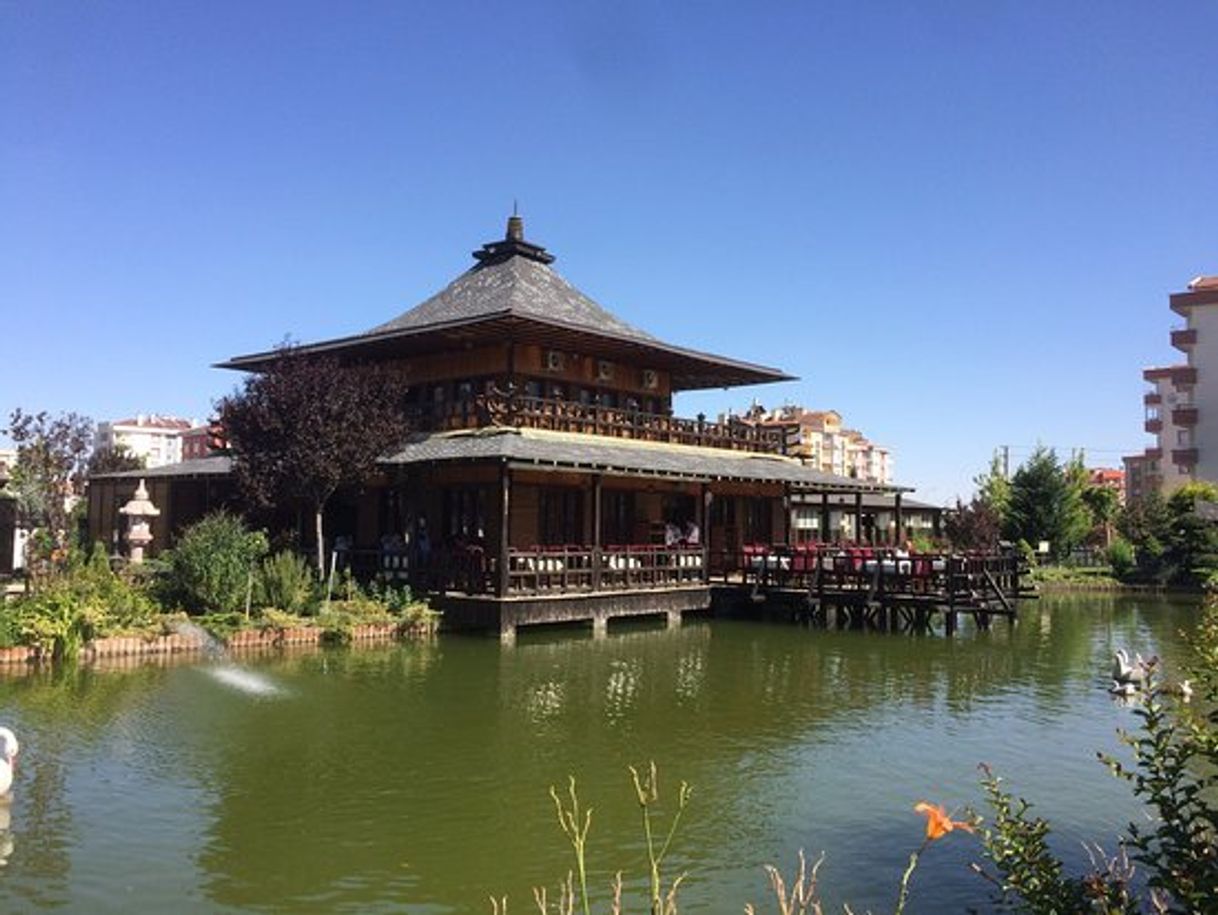 Lugar Japon Kyoto Parkı