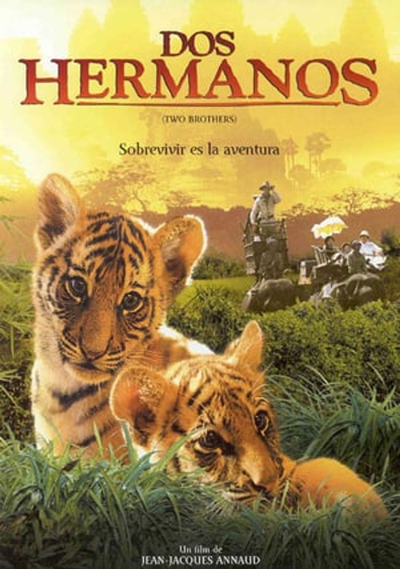 Movie Dos hermanos