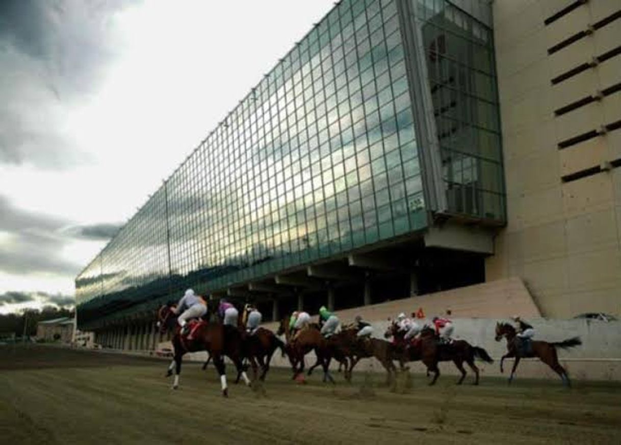 Moda Hipódromo de las Américas 