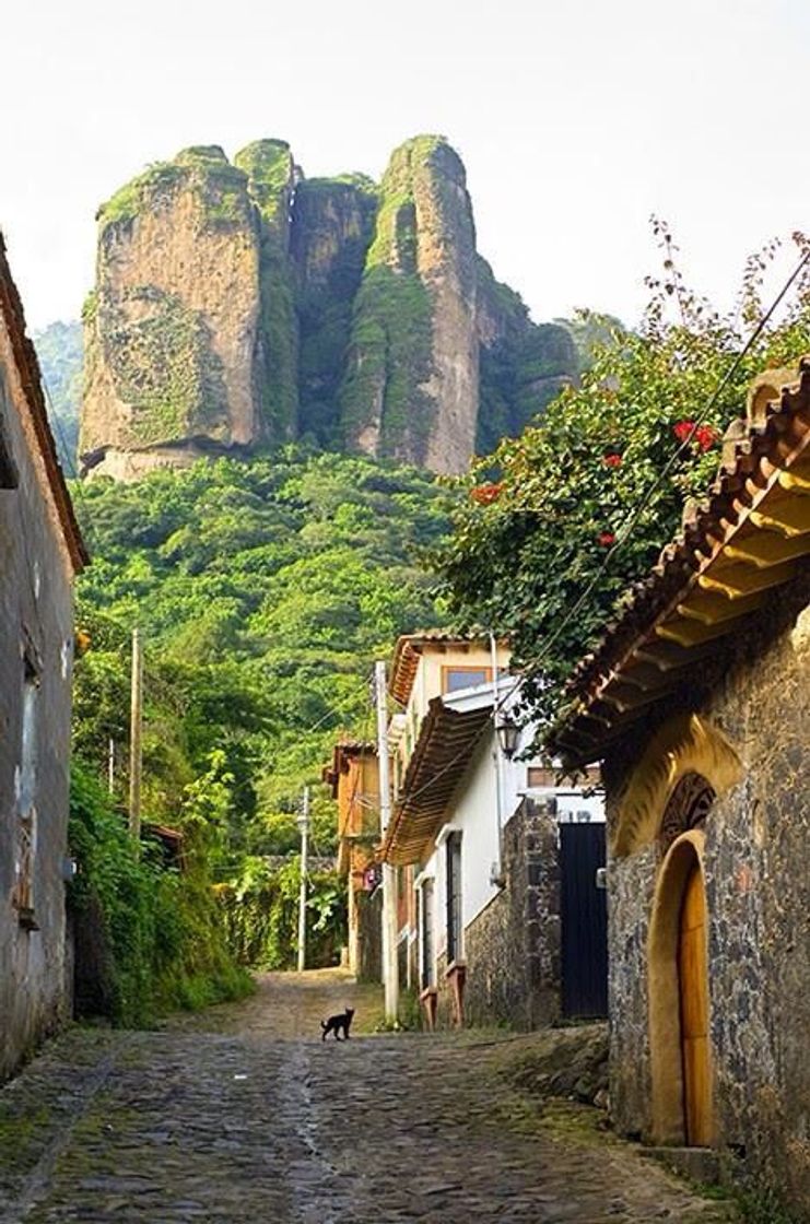 Places Calle Tepoztlán