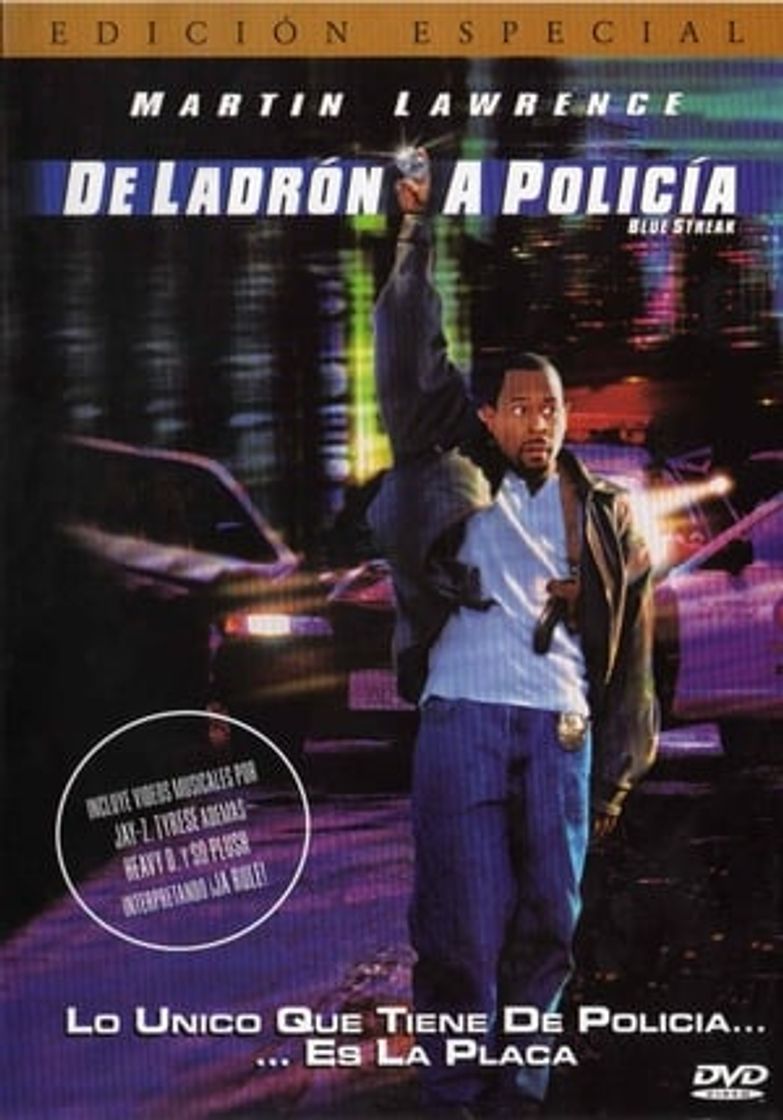 De ladrón a policía