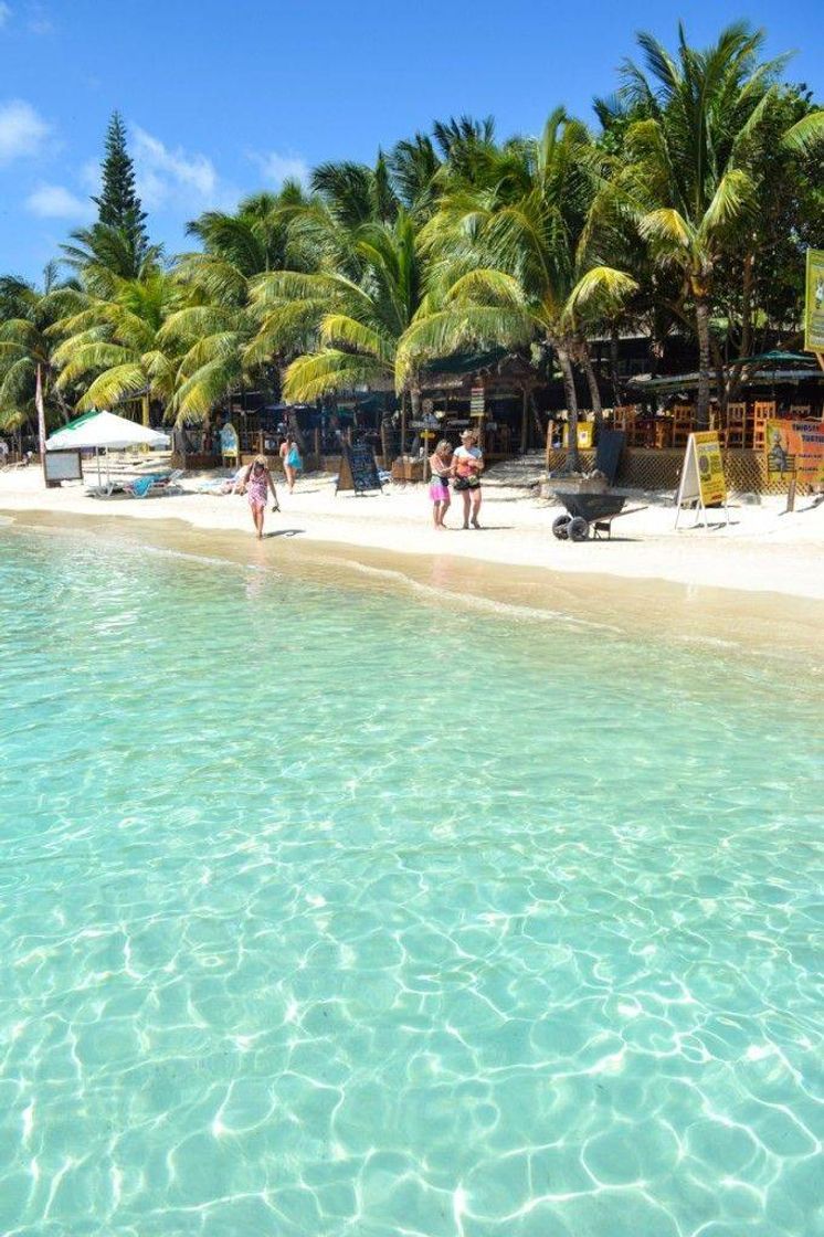 Lugar Islas de la Bahía